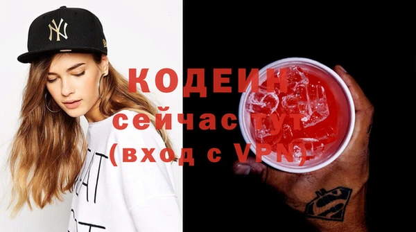 apvp Инсар