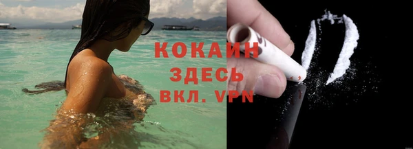 apvp Инсар