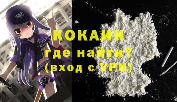 apvp Инсар