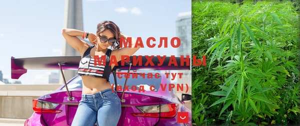 apvp Инсар